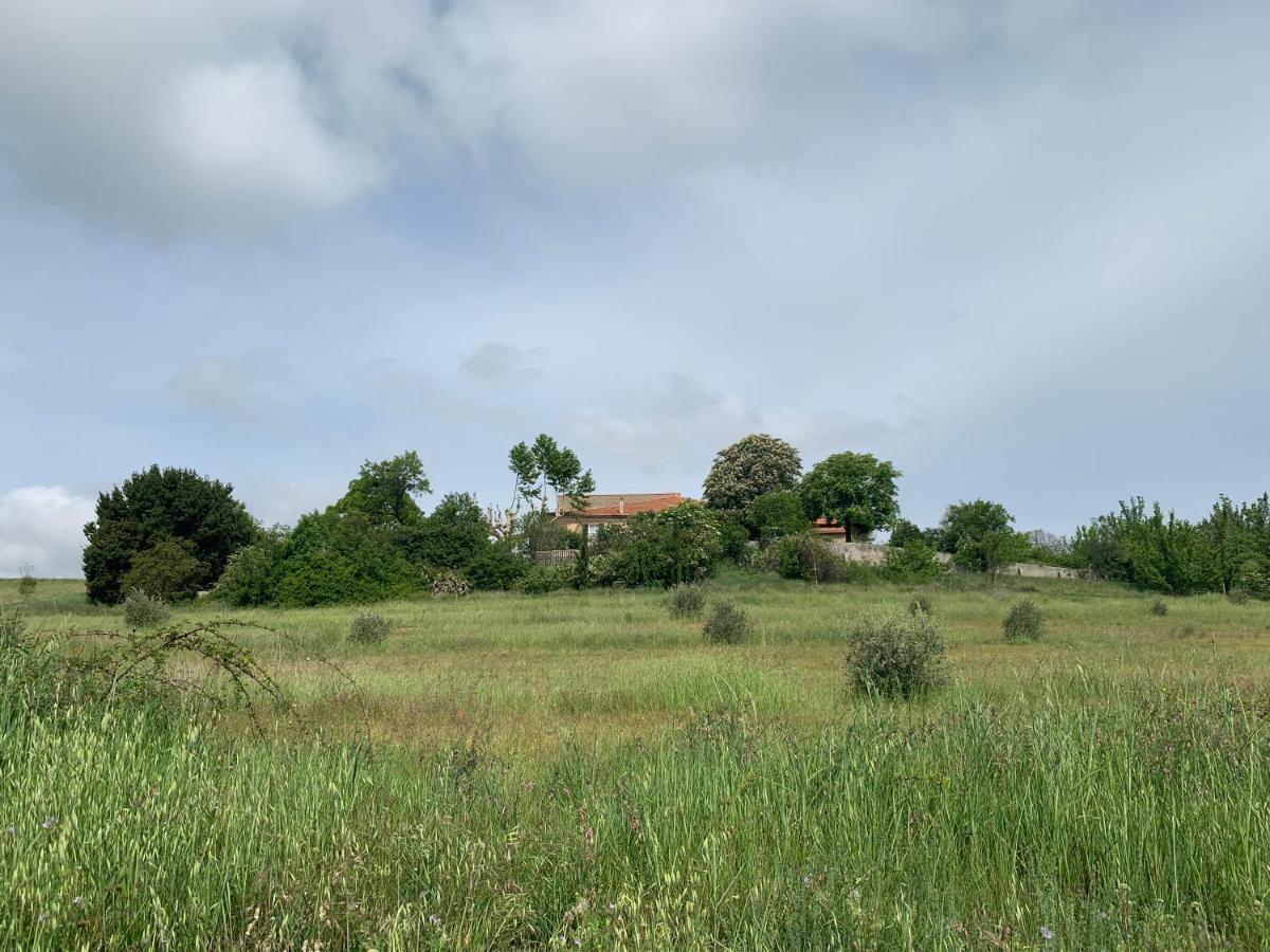 Domaine Le Commandaire Roumoules Esterno foto